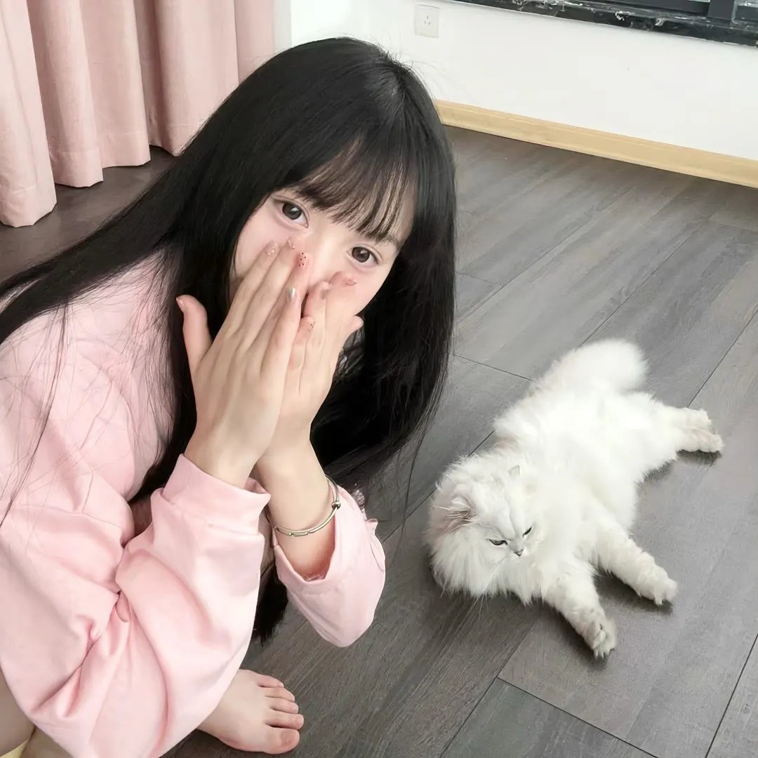 行骗高手